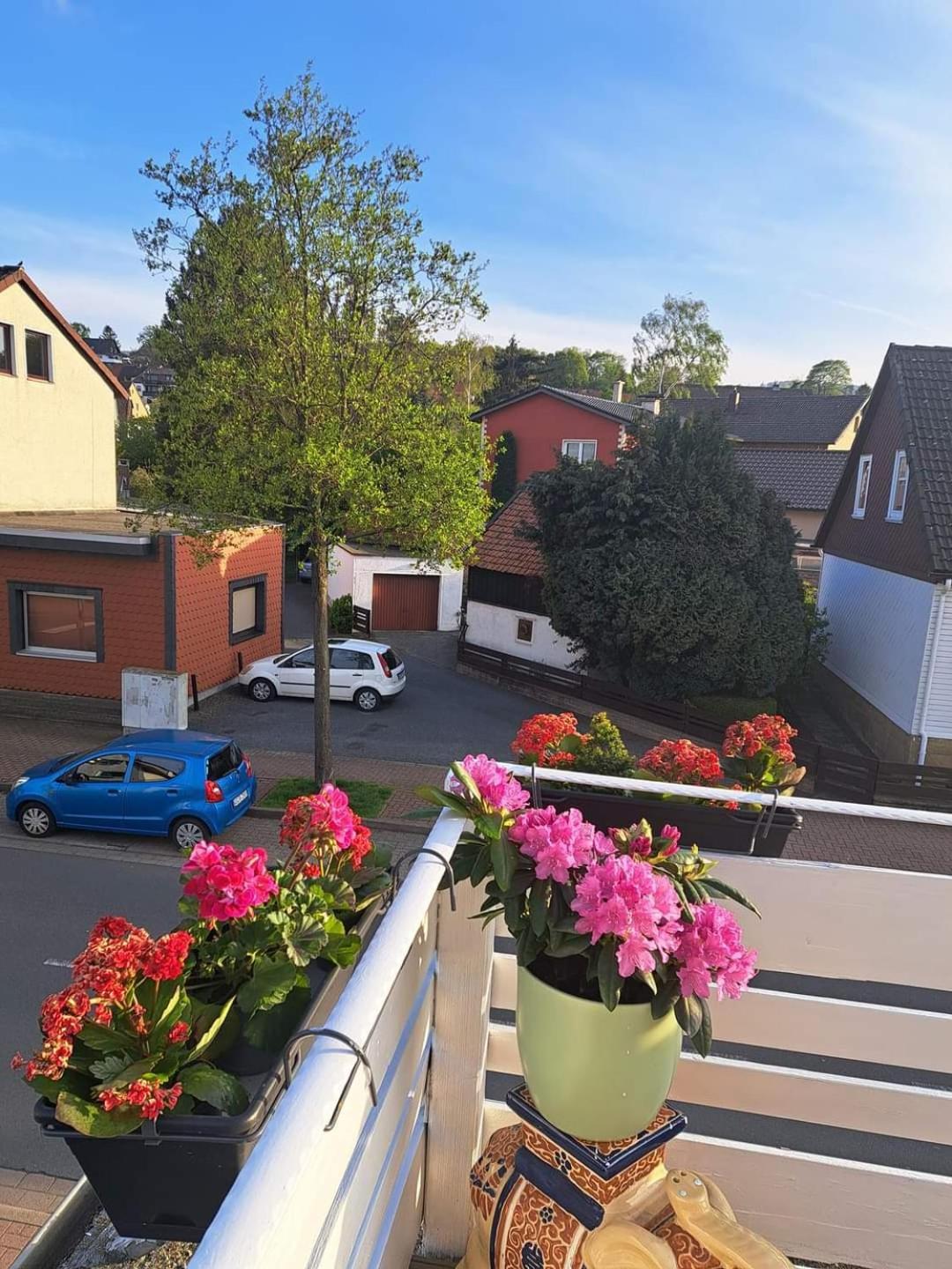 Fewo Im Harz Bad Harzburg Exterior photo